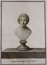 Load image into Gallery viewer, Buste - P235 - Ferdinando Campana - Le Antichita di Ercolano Esposte ( 1757 /1792 )
