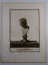 Load image into Gallery viewer, Buste - P237 - Ferdinando Campana - Le Antichita di Ercolano Esposte ( 1757 /1792 )
