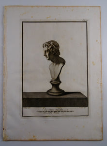 Buste - P237 - Ferdinando Campana - Le Antichita di Ercolano Esposte ( 1757 /1792 )