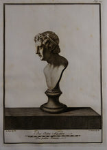 Load image into Gallery viewer, Buste - P237 - Ferdinando Campana - Le Antichita di Ercolano Esposte ( 1757 /1792 )
