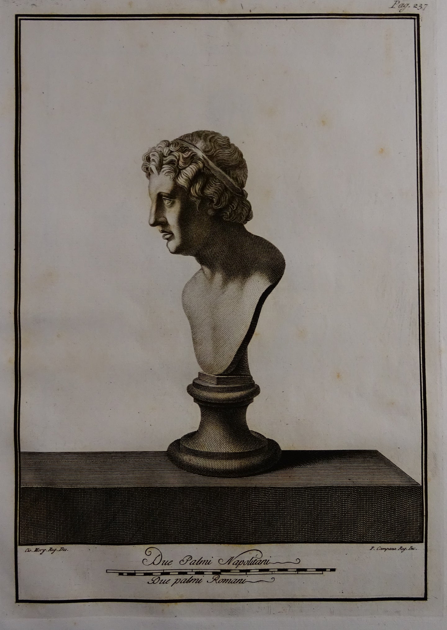 Buste - P237 - Ferdinando Campana - Le Antichita di Ercolano Esposte ( 1757 /1792 )