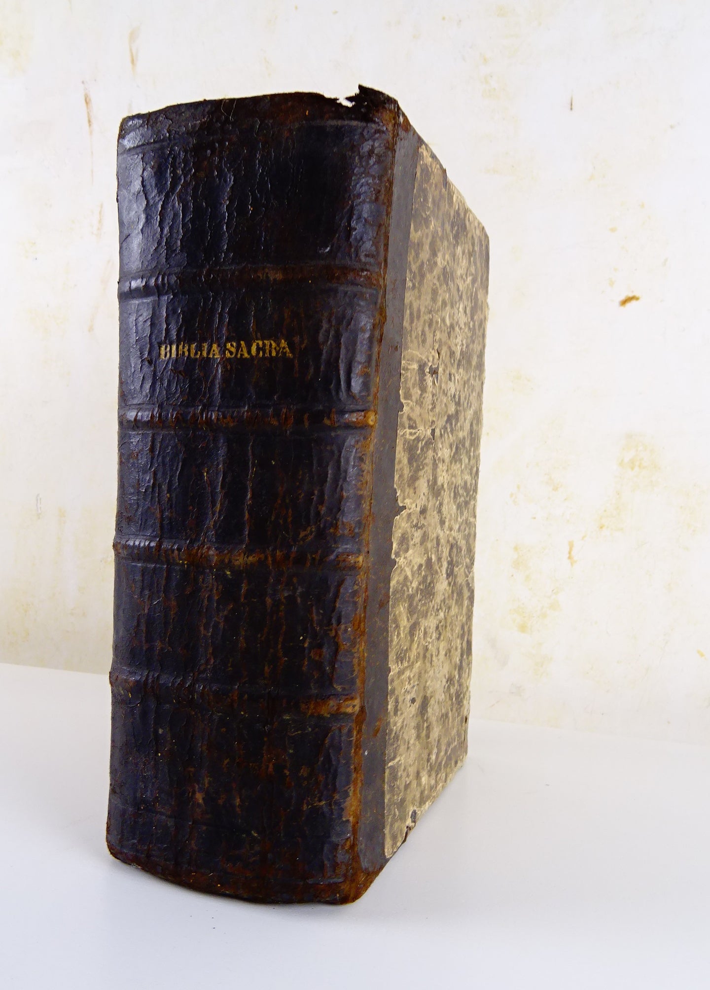 Biblia Sacra - Ex Officina Plantiniana  Apud Ioannem Moretum